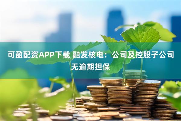 可盈配资APP下载 融发核电：公司及控股子公司无逾期担保