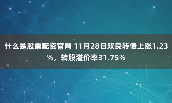 什么是股票配资官网 11月28日双良转债上涨1.23%，转股溢价率31.75%