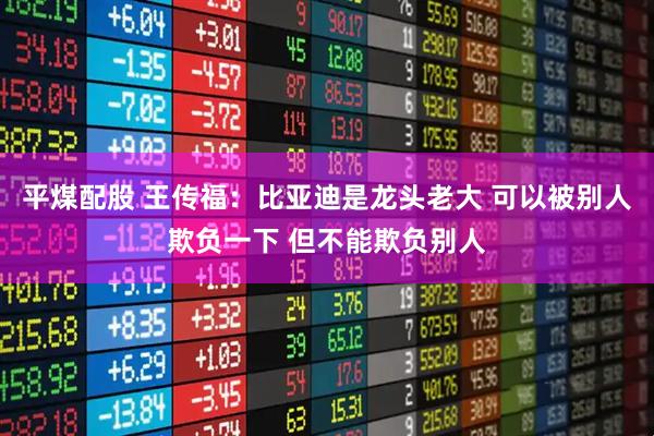 平煤配股 王传福：比亚迪是龙头老大 可以被别人欺负一下 但不能欺负别人