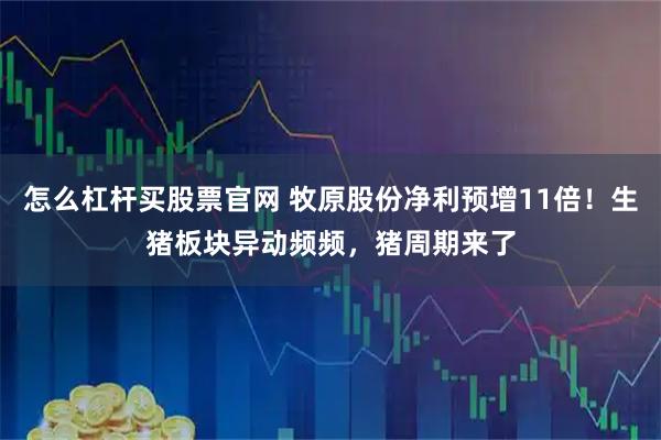 怎么杠杆买股票官网 牧原股份净利预增11倍！生猪板块异动频频，猪周期来了