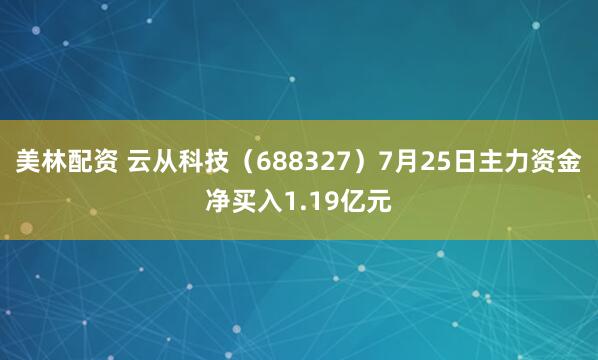 美林配资 云从科技（688327）7月25日主力资金净买入1.19亿元