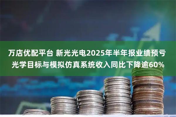 万店优配平台 新光光电2025年半年报业绩预亏 光学目标与模拟仿真系统收入同比下降逾60%