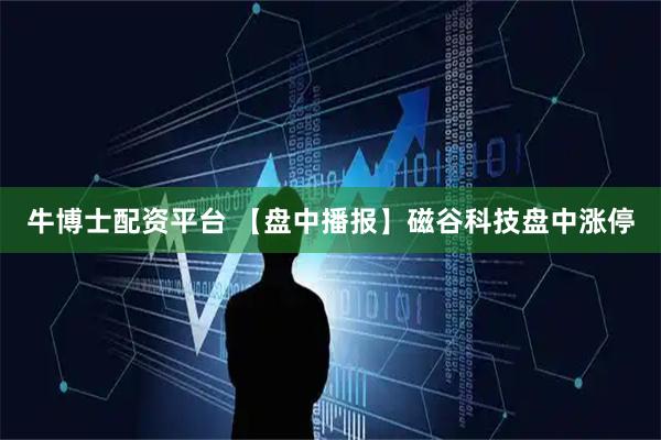 牛博士配资平台 【盘中播报】磁谷科技盘中涨停