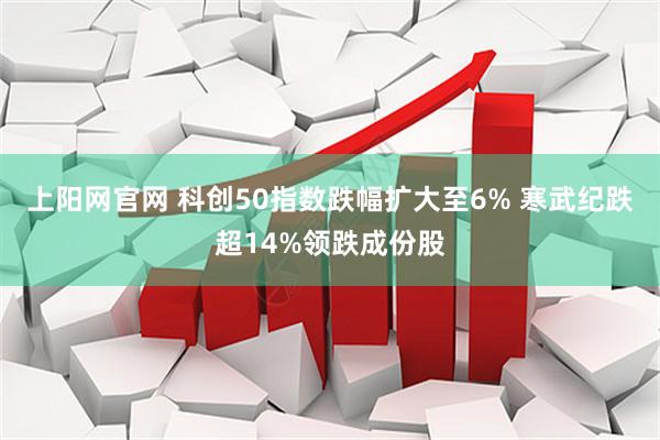 上阳网官网 科创50指数跌幅扩大至6% 寒武纪跌超14%领跌成份股
