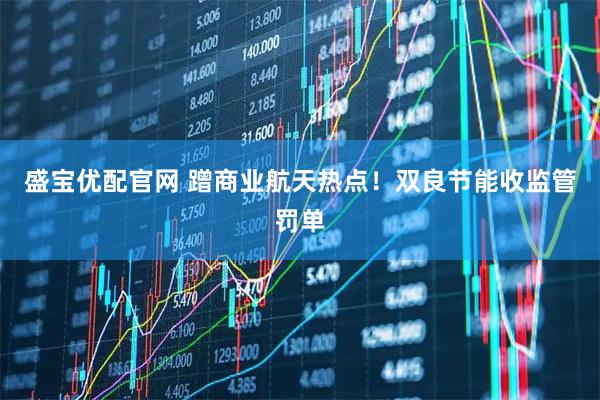 盛宝优配官网 蹭商业航天热点！双良节能收监管罚单